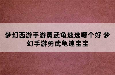 梦幻西游手游勇武龟速选哪个好 梦幻手游勇武龟速宝宝